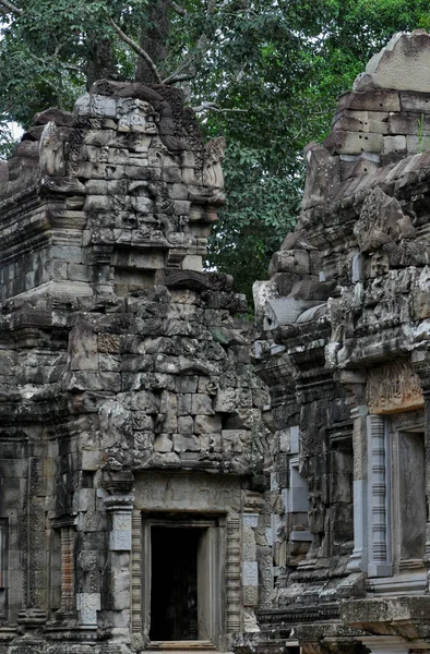 Rejtett Dzsungel Templom Prohm Közel Angor Wat Siem Arat Kambodzsa — Stock Fotó