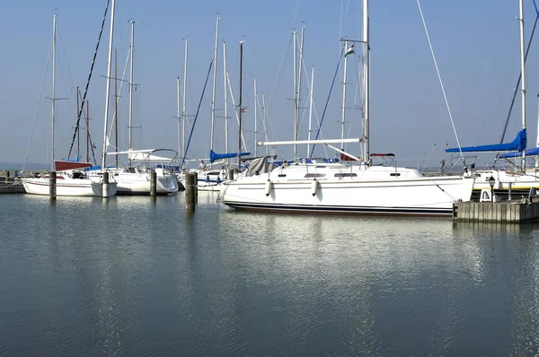 Segelhamn Szigliget Vid Balatonsjön Ungern — Stockfoto