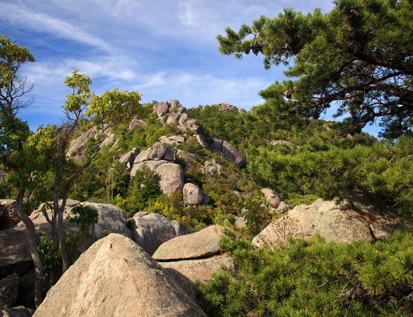 Rocas Sobre Valle Shenandoah Una Subida Old Rag — Foto de Stock