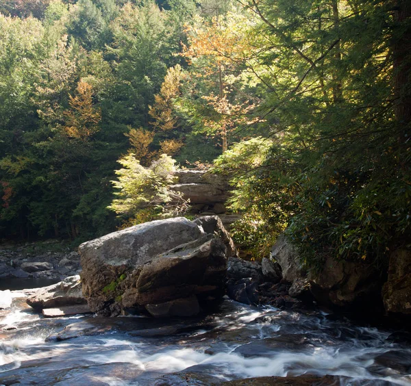 Fallen Leaves Fall River Edge Waterfall — Stock Photo, Image