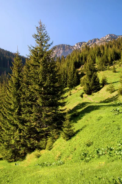 Bela Paisagem Montanha Tatra Parque Nacional Tatrzanski Polônia — Fotografia de Stock