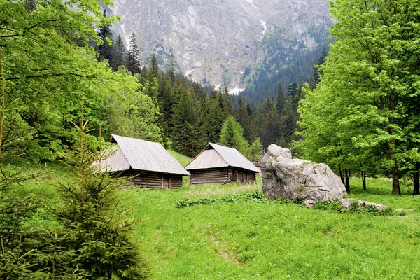 Vale Strazynska Paisagem Tranquila Nas Montanhas Tatra Polônia — Fotografia de Stock