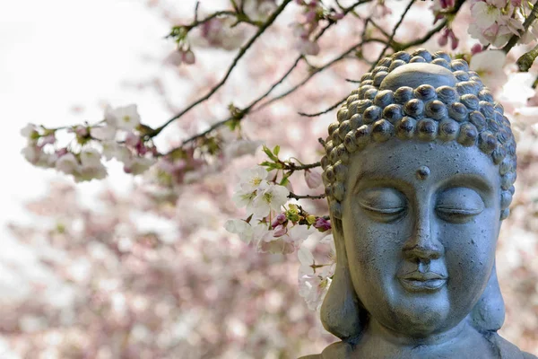Buda Zen Meditando Por Los Árboles Flores Cerezo Fondo Borroso —  Fotos de Stock
