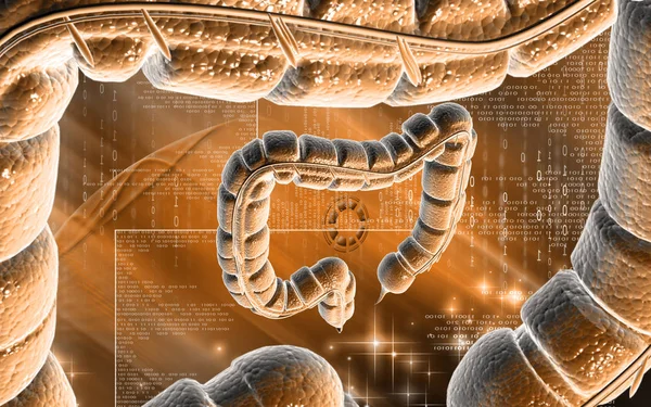 背景に大腸のデジタルイラスト — ストック写真
