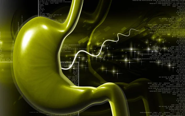 胃の色の背景のデジタルイラスト — ストック写真