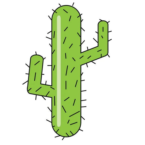 Cactus Saguaro Desierto México Arizona — Foto de Stock
