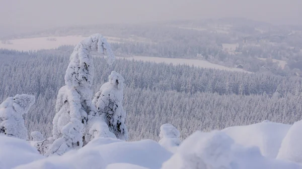 Picturesque View Snow Covered Winter Landscape — Stock Photo, Image