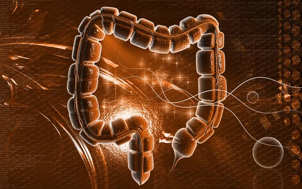 彩色背景下大肠的数字图像 — 图库照片
