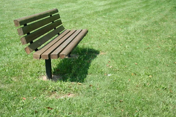 Banc Parc Bois Dans Champ Herbe — Photo