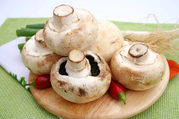 Champignons Champignon Des Crapauds Spores Portant Corps Fructifiant — Photo