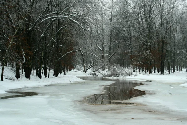 Frozen Pond Winter Stock Image