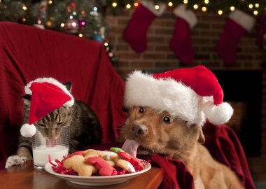 Cat and Dog eating and drinking Santa' clipart