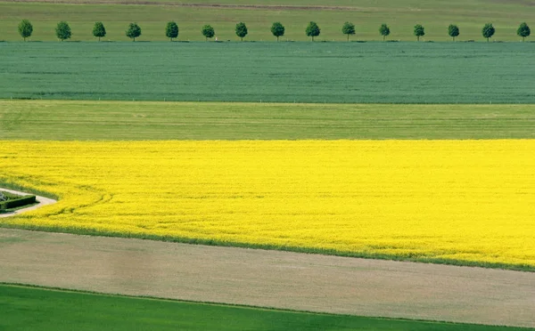 Fältkonstruktioner Våren — Stockfoto