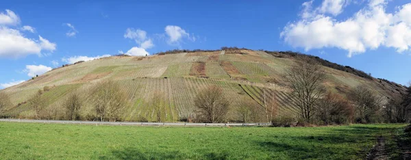 Vineyards Zeppwingert Herrenberg Batterieberg Ellergrub Enkirch Mosel — Stock fotografie