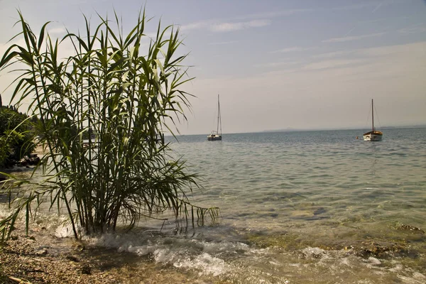 Vacker Utsikt Över Naturen — Stockfoto