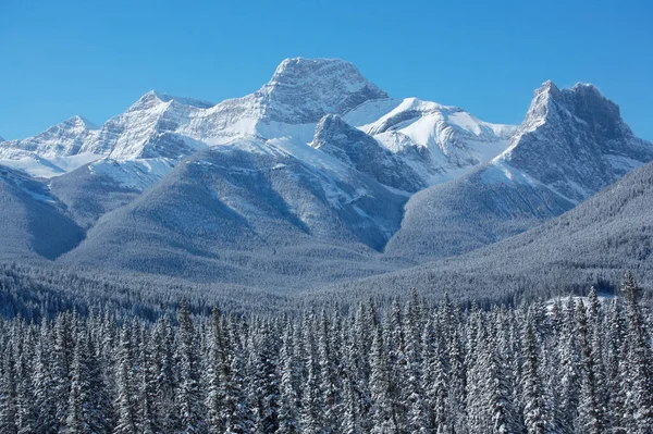 Monte Lougheed Vicino Banff Nelle Montagne Rocciose Canadesi — Foto Stock