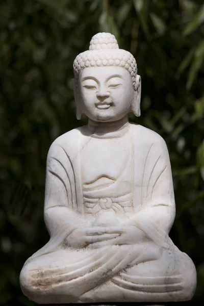 佛教文化与灵修 释迦牟佛 — 图库照片