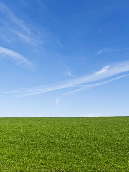 Prachtig Groen Veld Met Een Heldere Blauwe Lucht — Stockfoto