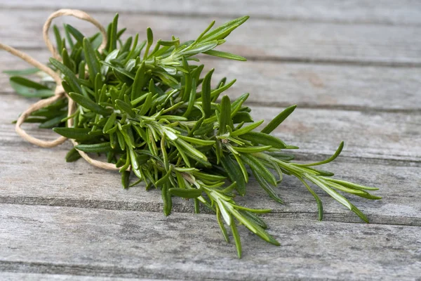 Green Rosemary Herbal Plant Flora — Stock Photo, Image