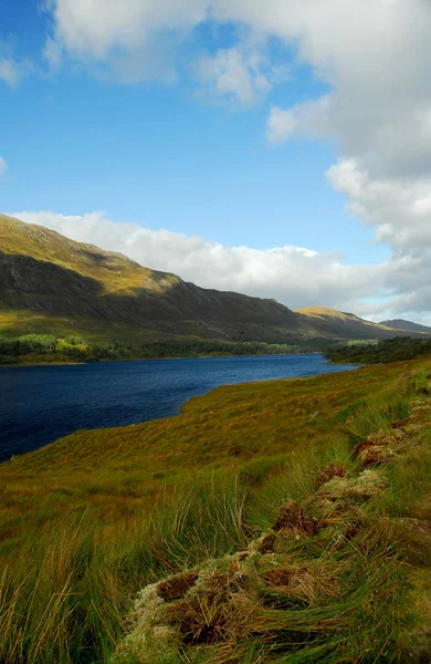 Skoçya Glen Affric Doğal Rezerv — Stok fotoğraf