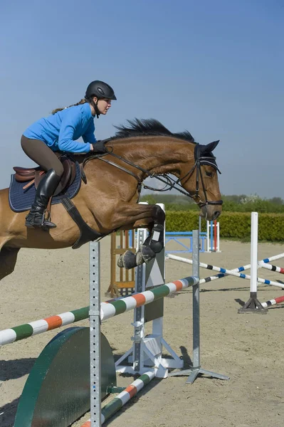 Equitação Show Jumping — Fotografia de Stock
