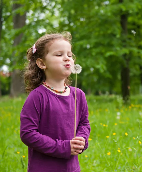 Happy Expression Cute Little Girl Blowing Dandelion — Stockfoto
