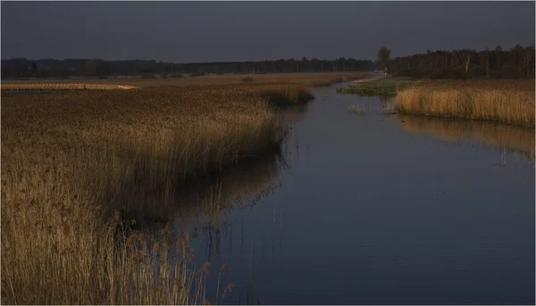 Schöne Aussicht Auf Die Natur — Stockfoto