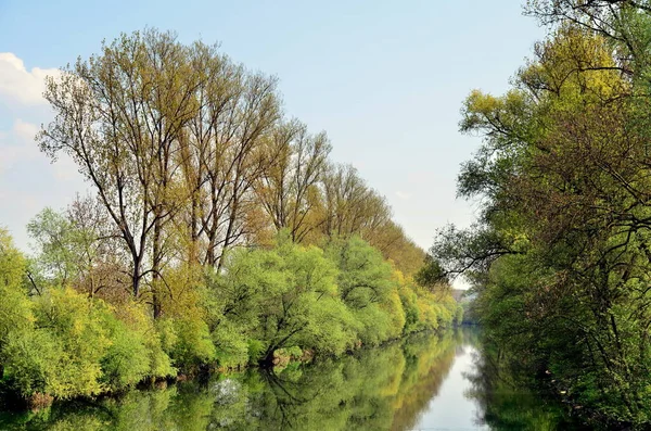 Frühling Neckar — Stockfoto
