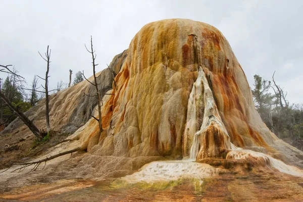 Bella Vista Della Scena Della Natura — Foto Stock