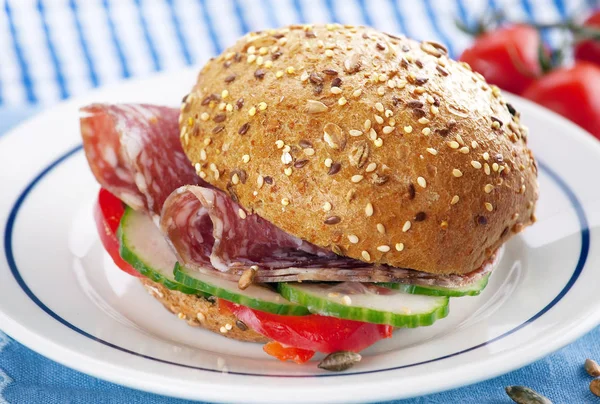 Deli Salami Sandwich Bun Vegetable — 图库照片