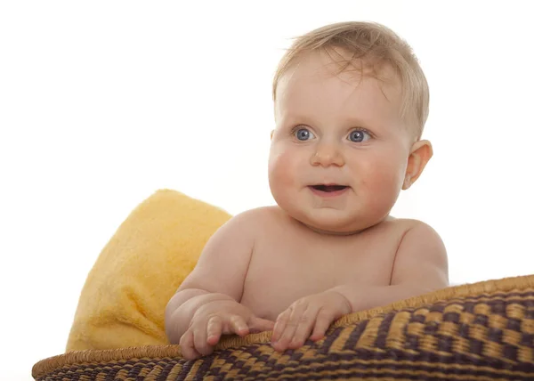Bebê Feliz Sentado Cesta Estúdio — Fotografia de Stock