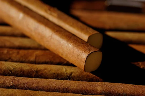 Zigarren Zimtstangen Nahaufnahme — Stockfoto