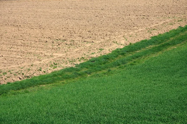 Agriculture Field Landscape Countryside Land — Stock Photo, Image