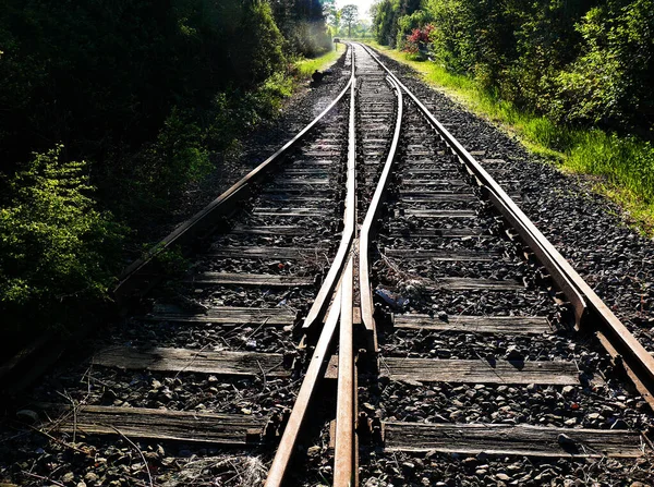 Carriles Tren Vacíos Tierra — Foto de Stock