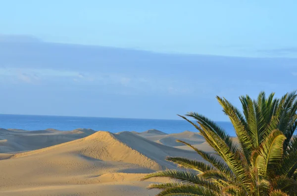 Paisagem Dunas Gran Canaria — Fotografia de Stock