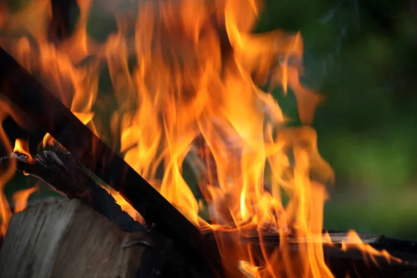 Llama Fuego Rojo Ardiente — Foto de Stock