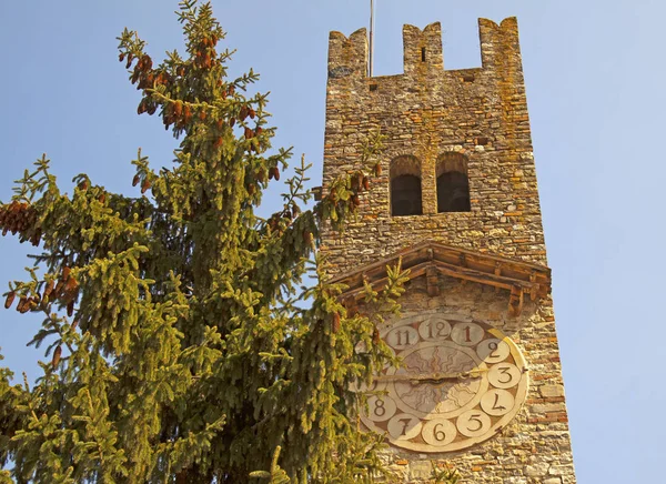 Grande Torre Relógio Velho Perto Grande Pinheiro — Fotografia de Stock