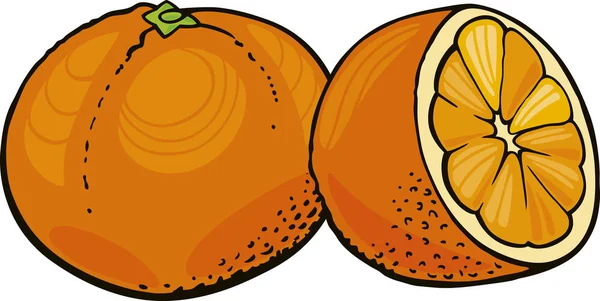 Illustration Two Oranges — Stock Photo, Image