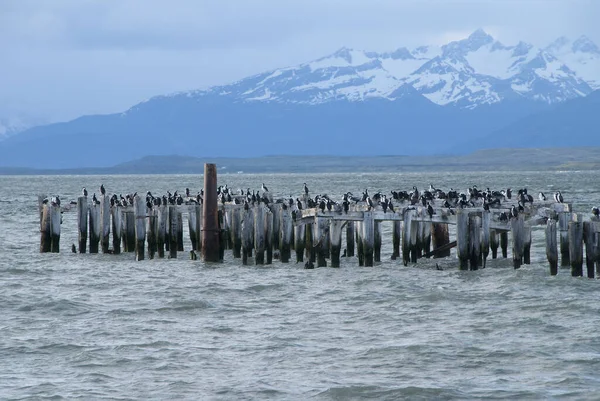 Puerto Natales Esperanza Sound — Stock fotografie