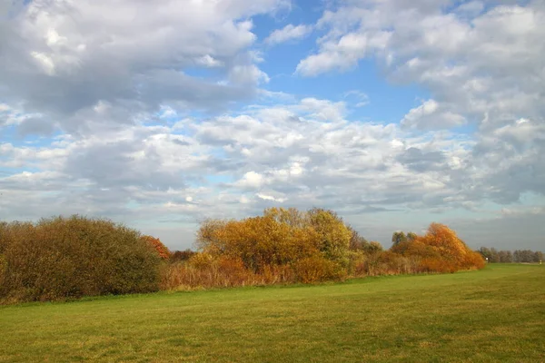 Prachtige Omgeving Van Het Bos — Stockfoto