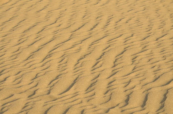 Песчаные Дюны Гран Канарии — стоковое фото