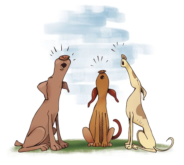 Humorvolle Illustration Dreier Heulender Hunde — Stockfoto