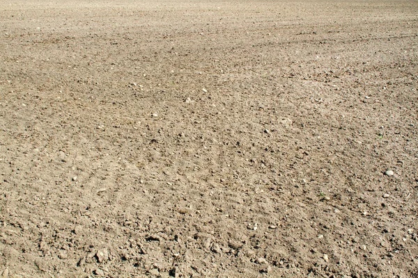 Geploegd Veld Zomer — Stockfoto