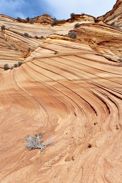 Kum Taşı Girdabı Coyote Buttes Güney Vermilion Kayalıkları Güneybatı Abd — Stok fotoğraf