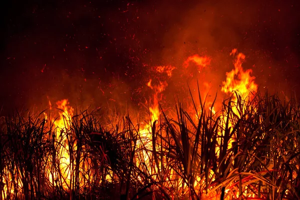Велика Пожежа Сільськогосподарських Землях — стокове фото