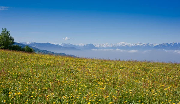 Sarà Primavera Nel Bregenzerwald — Foto Stock