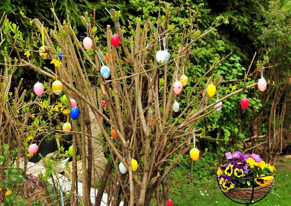 Easter Easter Kelinci Bunga Padang Rumput — Stok Foto