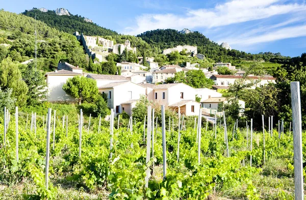 Gigondas Üzüm Provence Fransa — Stok fotoğraf