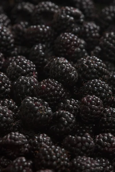 Vegetarian Food Selective Focus — Stock Photo, Image