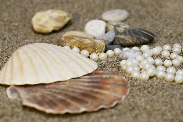 sea shell with pearls on the sand